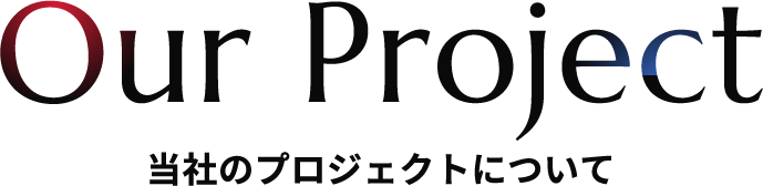 当社のプロジェクトについて